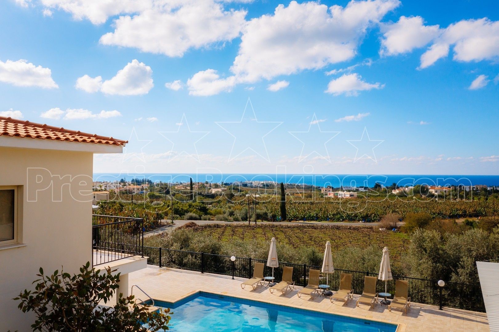 image/jpeg image/jpeg